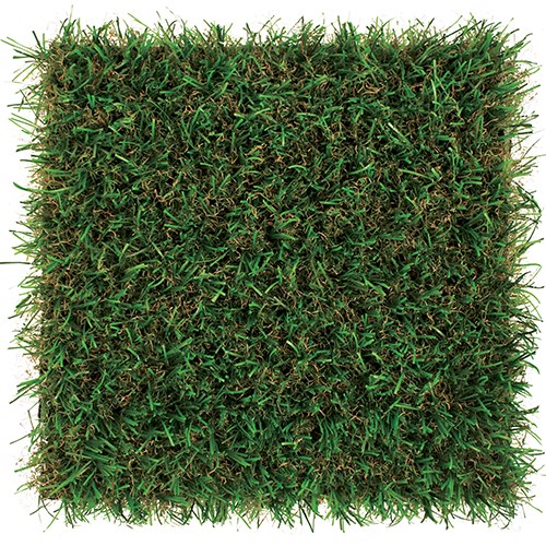 View DuPont™ ForeverLawn® Select HD